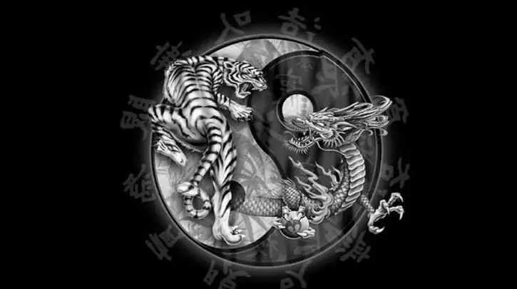 Tìm hiểu rồng hổ soc88